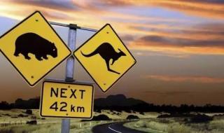 旅游签到澳大利亚之后能转工签吗 澳大利亚打工度假签证